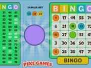 Bingo Solo Walkthrough