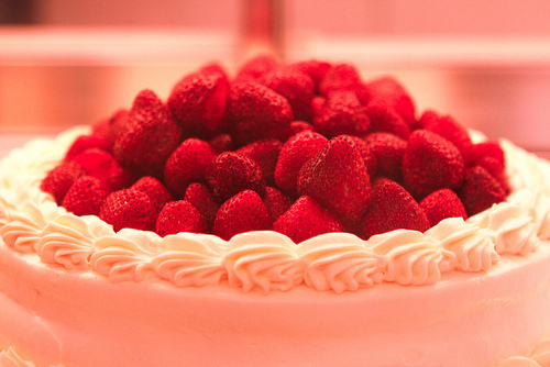 http://data.whicdn.com/images/45458795/tumblr_lqrebvFZo81qbua0co1_500_large.jpg