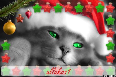 http://cap35.caption.it/354/captionit060945I271D37.jpg