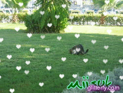 http://img34.glitterfy.com/10027/glitterfy0084333980D31.gif