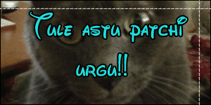 http://www.upload.ee/image/2570843/patchi-urureku.gif