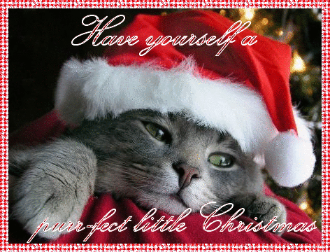 http://dl5.glitter-graphics.net/pub/778/778045k4i7g8yend.gif