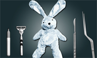 Cure the Bunny