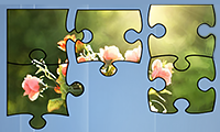 Jigsaw Puzzle: Summer