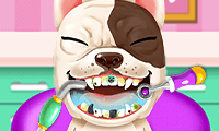 Crazy Animal Dentist