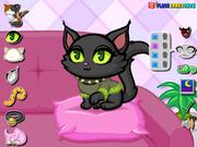 Purrfect Kitten Walkthrough