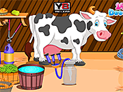 Holstein Cow Care