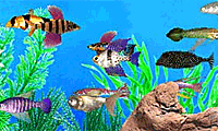 Fish Tycoon