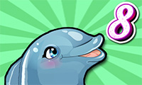 My Dolphin Show