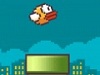 Bird Games