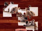 Funny Dogs Puzzle Walkthrough