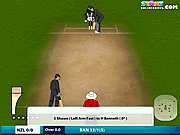 Online Cricket 2011