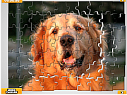 Pet Puzzles: Dogs