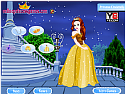 Princess Cinderella Dress Up