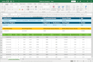 Screenshot of a .xls file in Microsoft Excel 2019