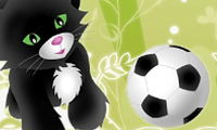 Pet Soccer
