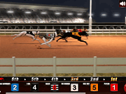 Greyhound Racing