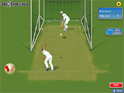 Cricket 20-20 Ultimate