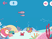 Molang Fishing