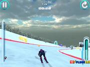 Alpine Ski Master Walkthrough