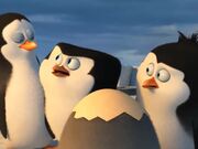 AniMat’s Reviews: Penguins of Madagascar