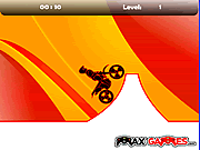 Max Dirt Bike