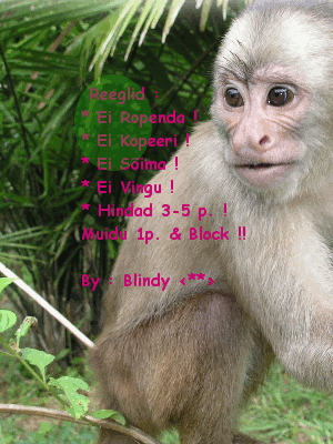 http://www.upload.ee/image/2347168/minuaffieeglid.gif