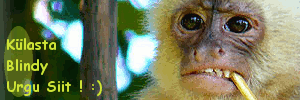 http://www.upload.ee/image/2347183/minuahvireklaaam.gif