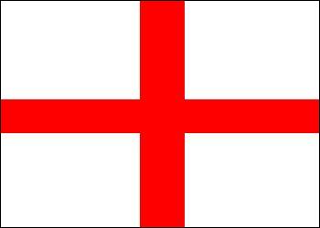 http://www.flippingheck.com/uploads/flipping/stgeorgeflag.jpg