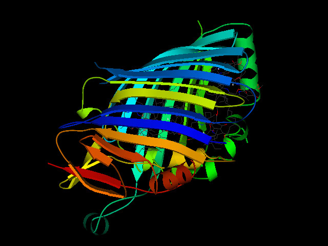 http://www.chemicalgraphics.com/paul/vrml2pov/samples/cool1-Molscript.jpg