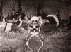 http://dl9.glitter-graphics.net/pub/345/345539ykjgxk2dke.gif