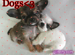 http://img30.glitterfy.com/301/glitterfy053613193D30.gif