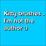 Kitty brushes