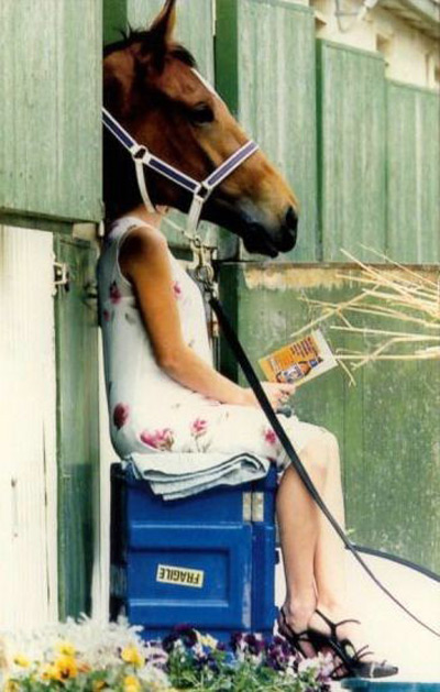 http://farm2.static.flickr.com/1032/3353736742_563f7fcd10_o.jpg