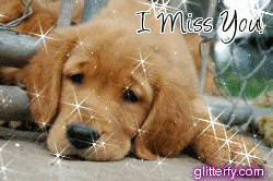 http://img10.glitterfy.com/graphics/104/sad_puppy.gif
