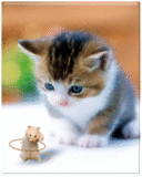 http://dl.glitter-graphics.net/pub/1472/1472211x39kru2avf.gif