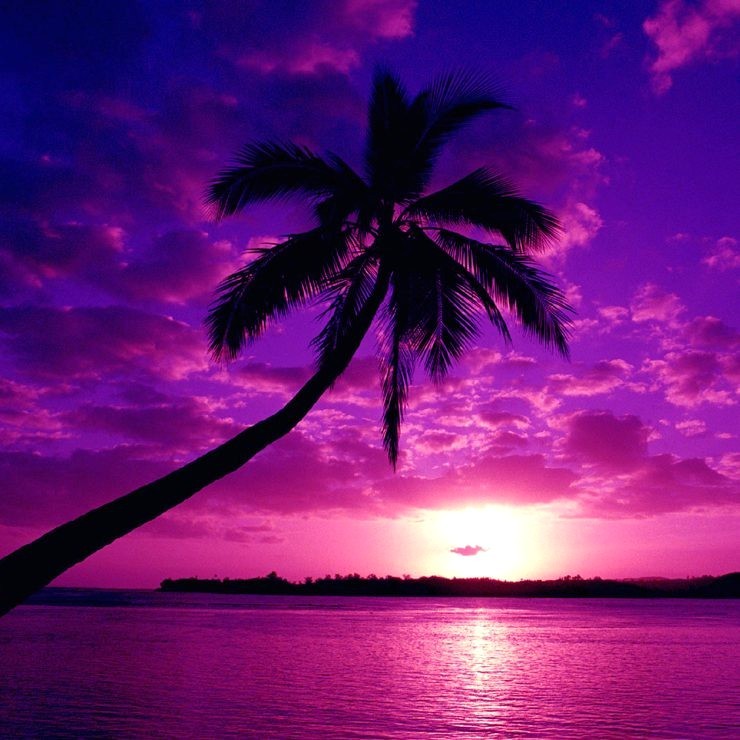 http://1.bp.blogspot.com/_1tuFRR-F61M/TCFcRzoGoUI/AAAAAAAACgs/wkd1-m_80Io/s1600/PurpleSky.jpg