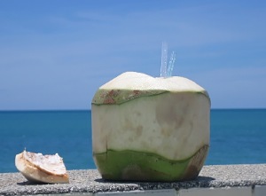 http://www.boatbookings.com/images/maldives/coconut_drink.jpg