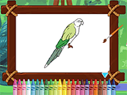 Parrot Pal Coloring