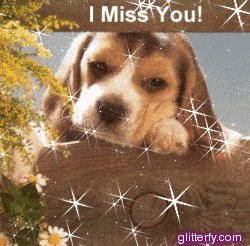 http://img10.glitterfy.com/graphics/104/puppy_miss_you.gif
