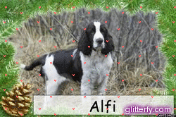 http://img30.glitterfy.com/231/glitterfy105926441D38.gif