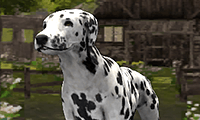 Dog Simulator 3D