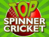 Top Spinner Cricket Game