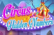 Circus Hidden Numbers