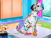 Dalmatian Puppy Day Care