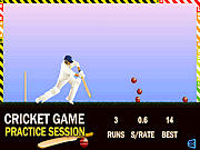 Cricket Game