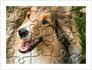 Bonus Jigsaws