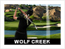 World Golf Tour: Wolf Creek