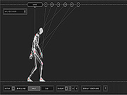 Wire Skeleton