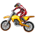 TGmotocross 3 Gold